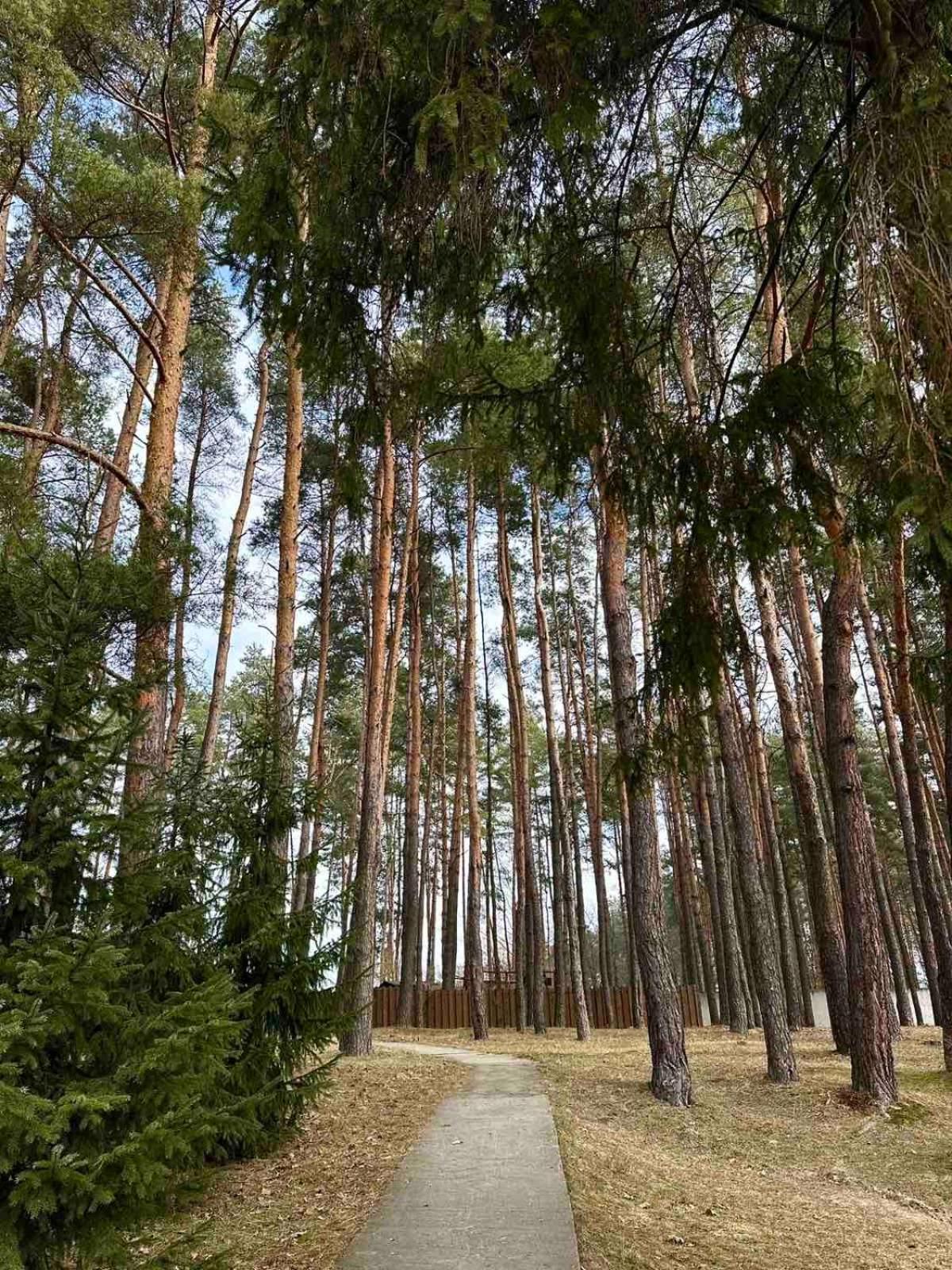 Готель Kryve Ozero Новояворівськ Екстер'єр фото